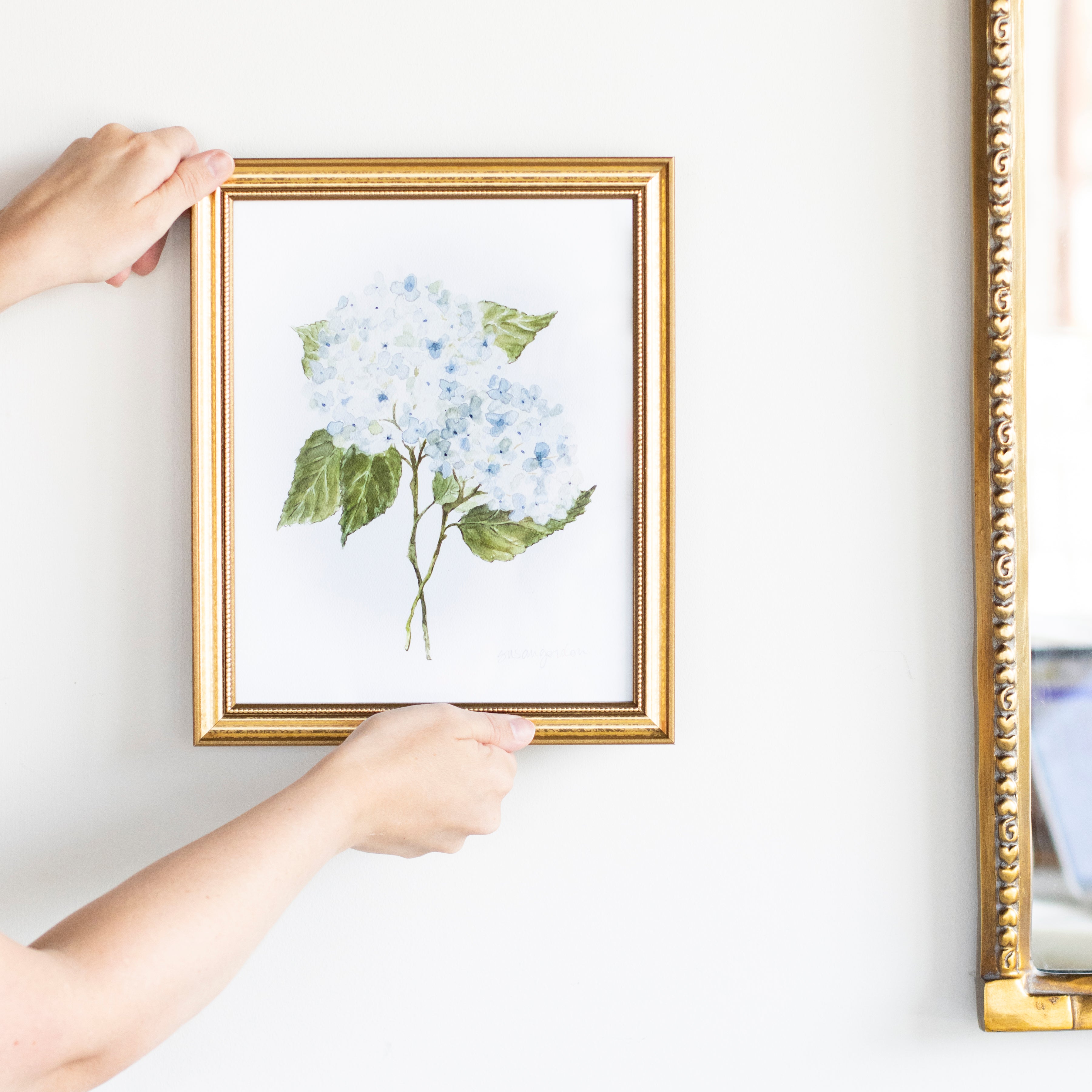 8x10 Hydrangea Print No. 3 By Susan Gordon