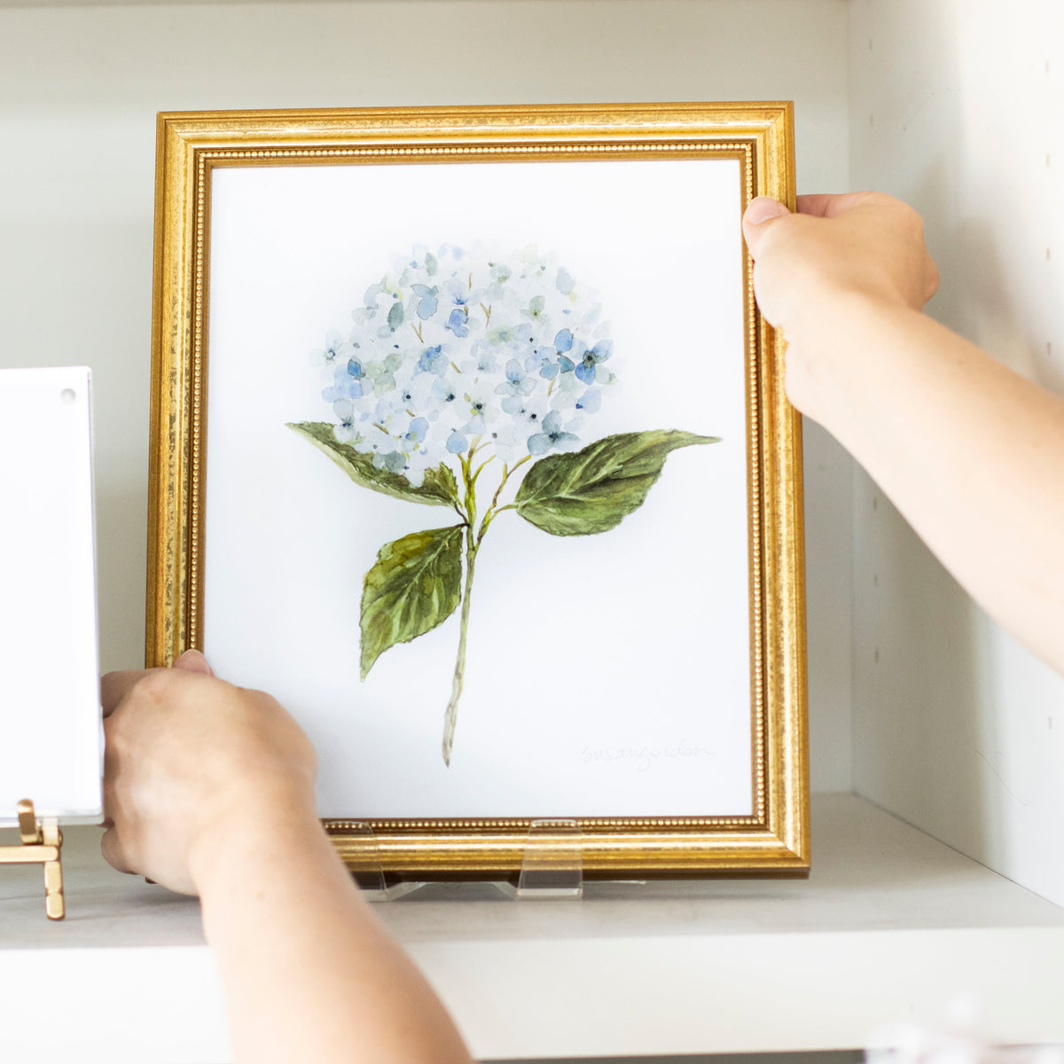 8x10 Hydrangea Print No. 1 By Susan Gordon