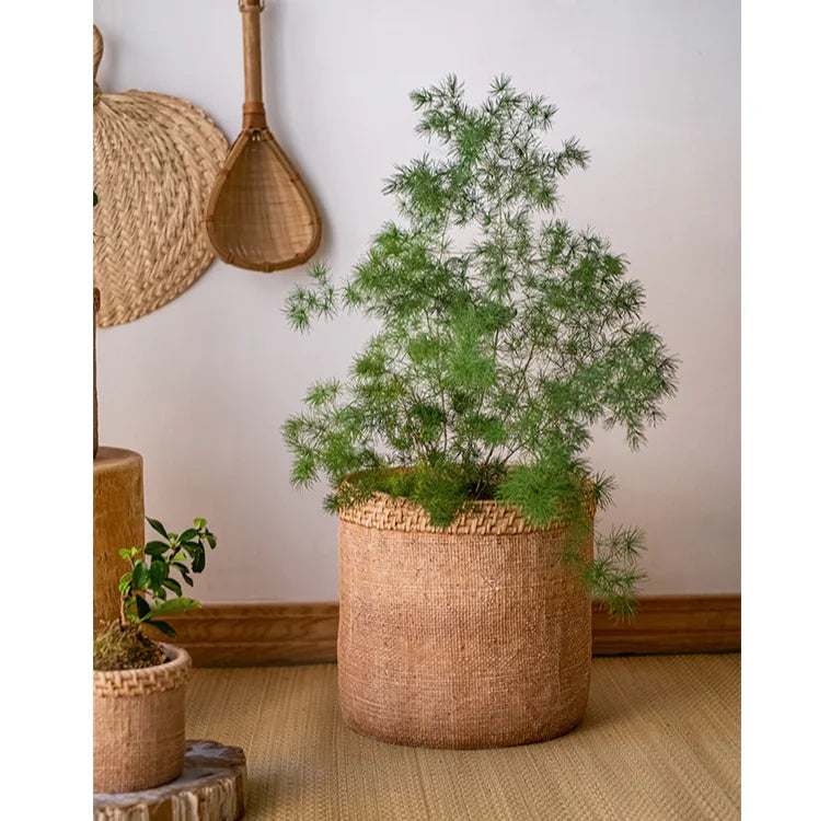 Straw Looking Concrete Planter - The Mayfair Hall