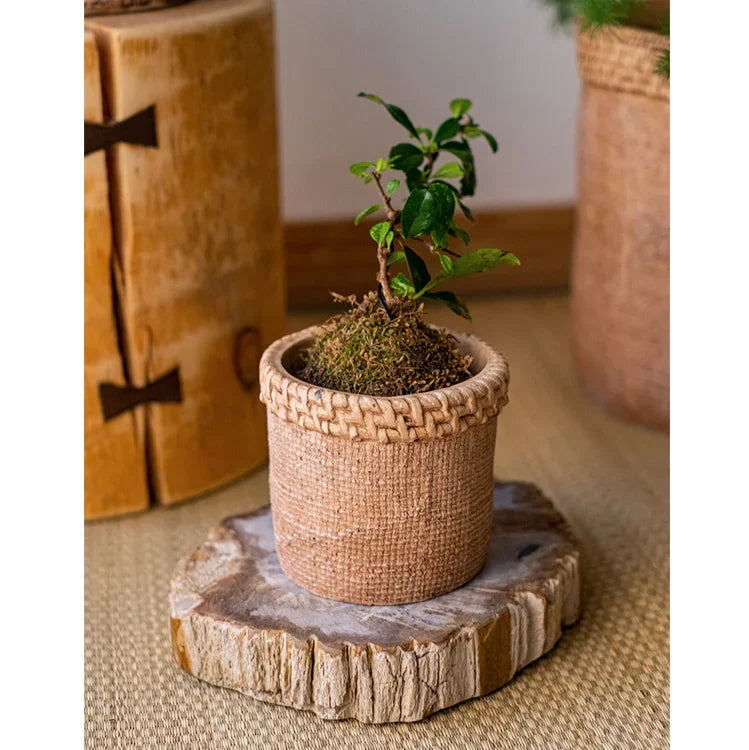 Straw Looking Concrete Planter - The Mayfair Hall