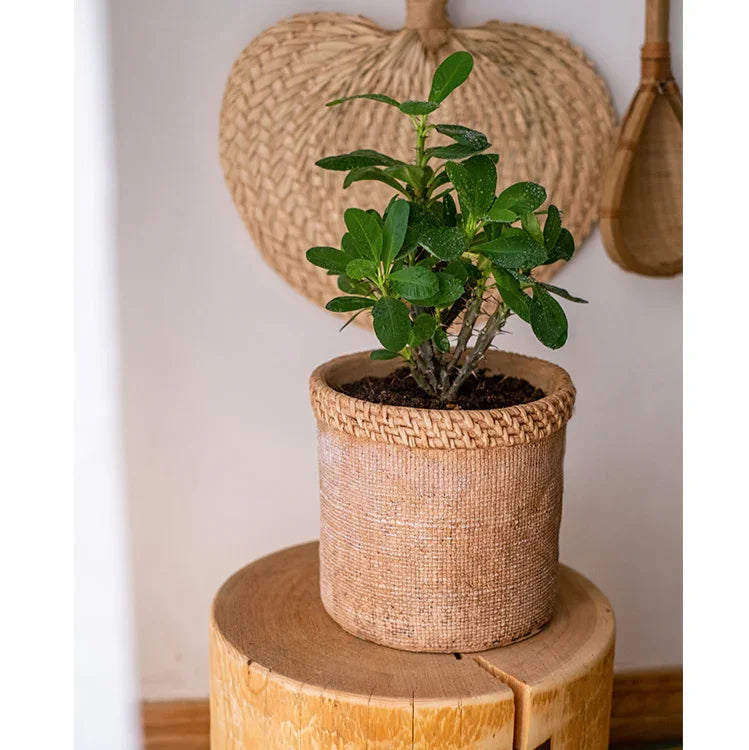 Straw Looking Concrete Planter - The Mayfair Hall
