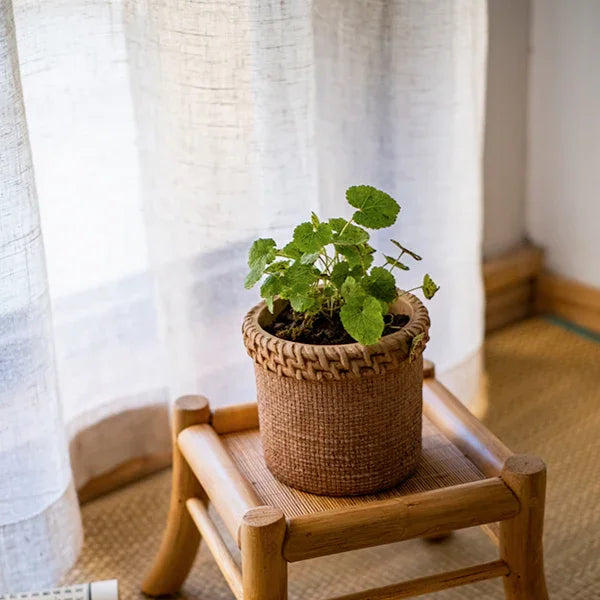 Straw Looking Concrete Planter - The Mayfair Hall