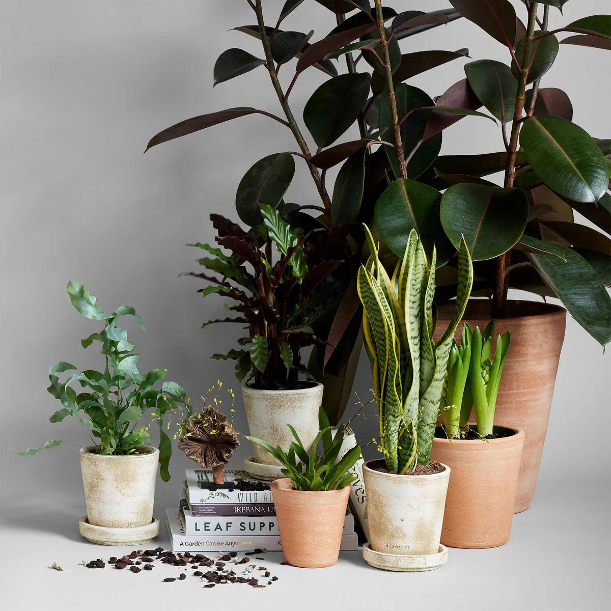 Whitewash Terracotta Studio Planter - The Mayfair Hall