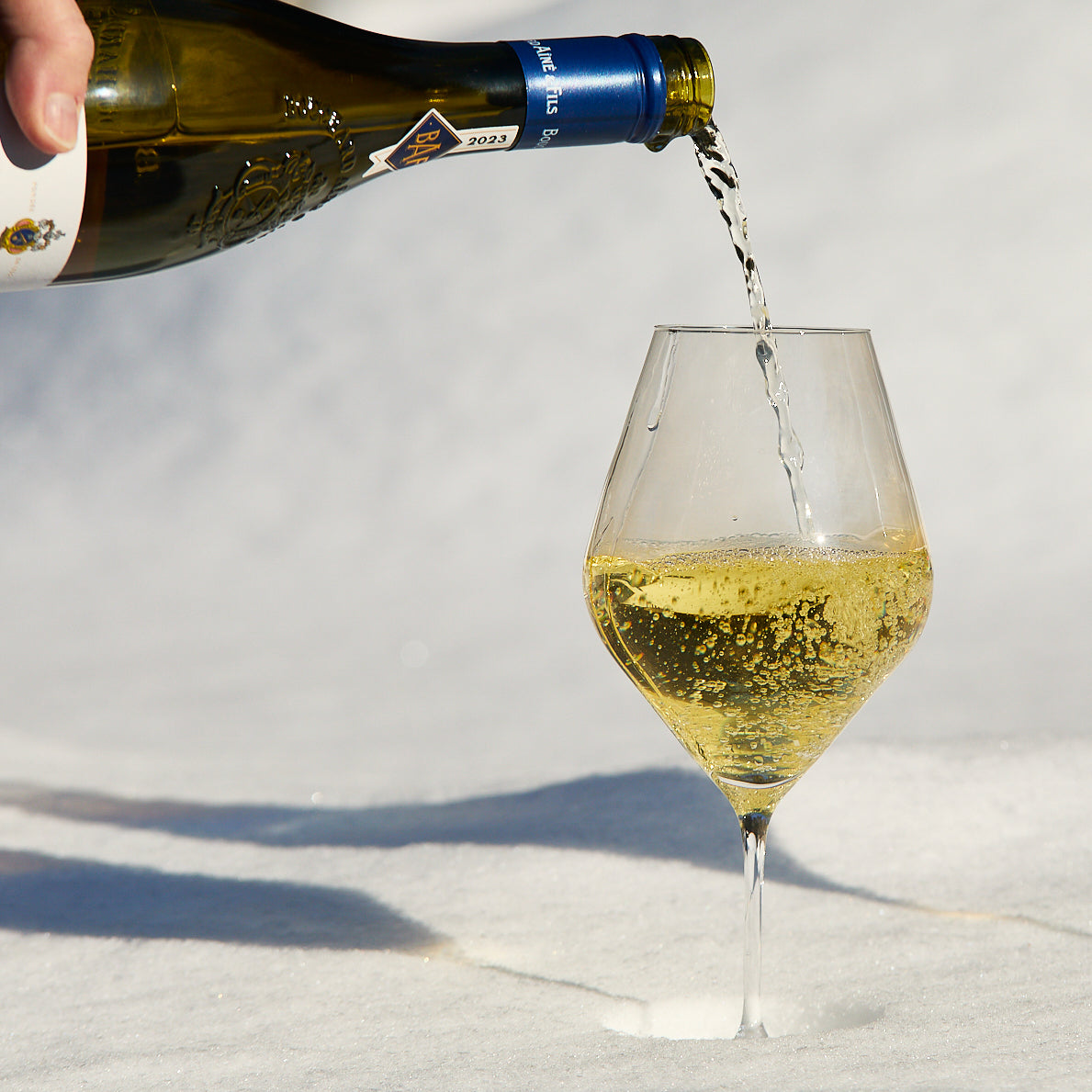 Library White Wine Glasses, Set of 4