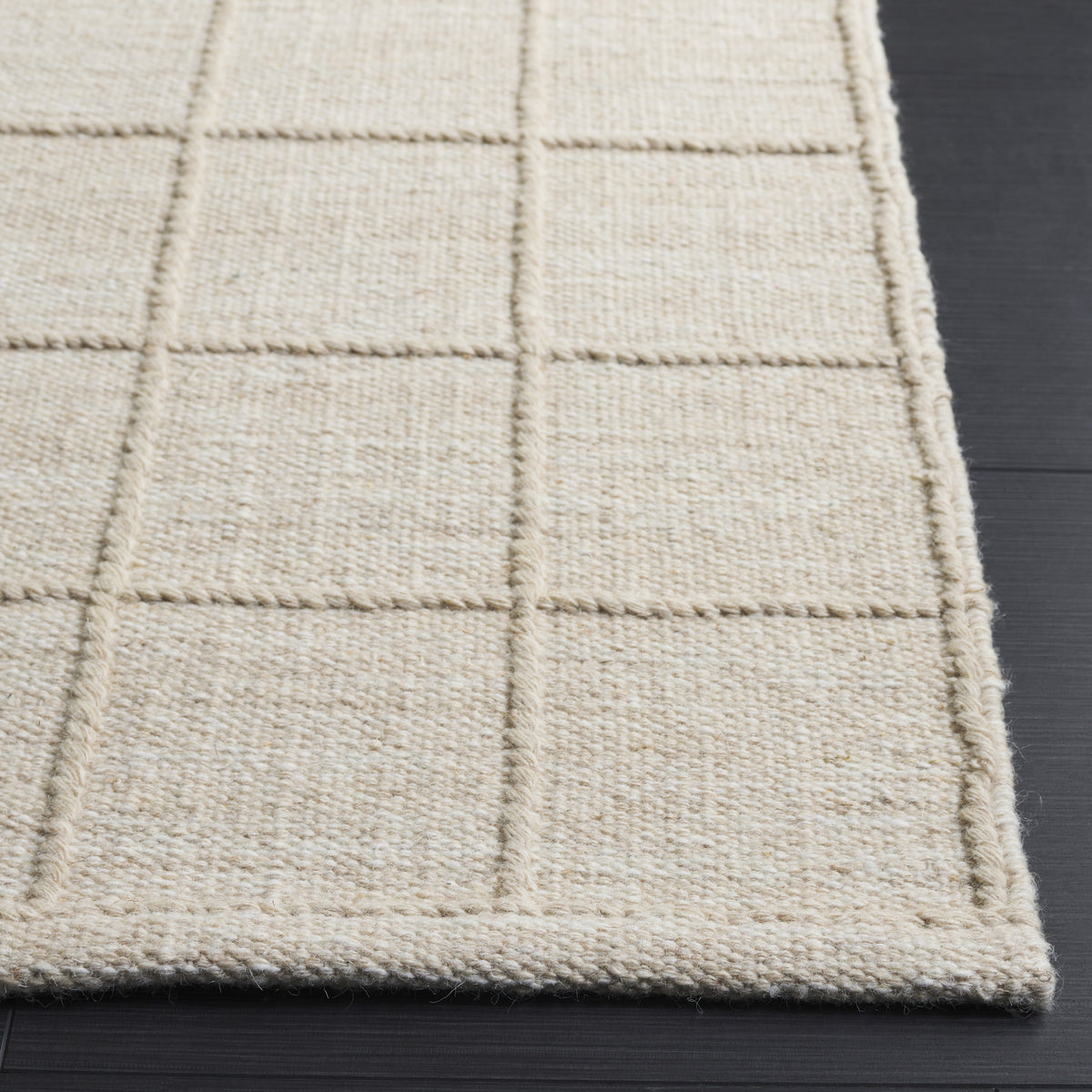 Natura Modern Handwoven Area Rug in Beige