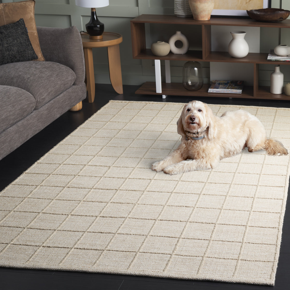 Natura Modern Handwoven Area Rug in Beige