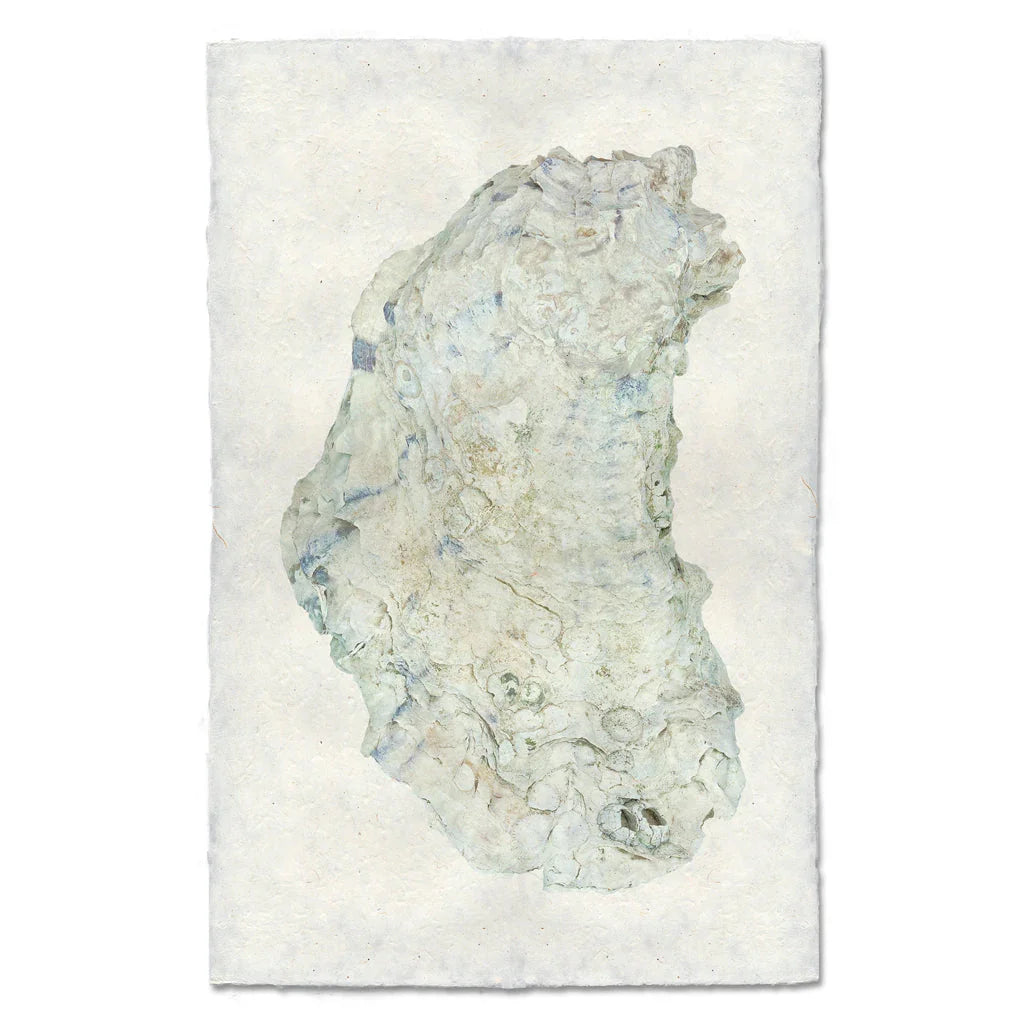 Oyster Study #14 - The Mayfair Hall