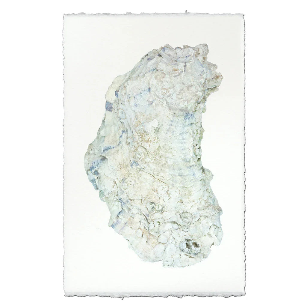 Oyster Study #14 - The Mayfair Hall