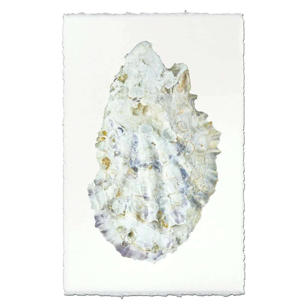Oyster Study #2 - The Mayfair Hall