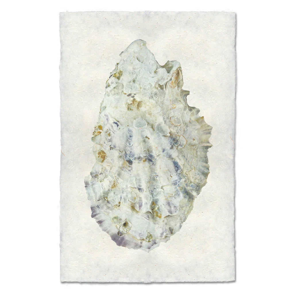 Oyster Study #2 - The Mayfair Hall