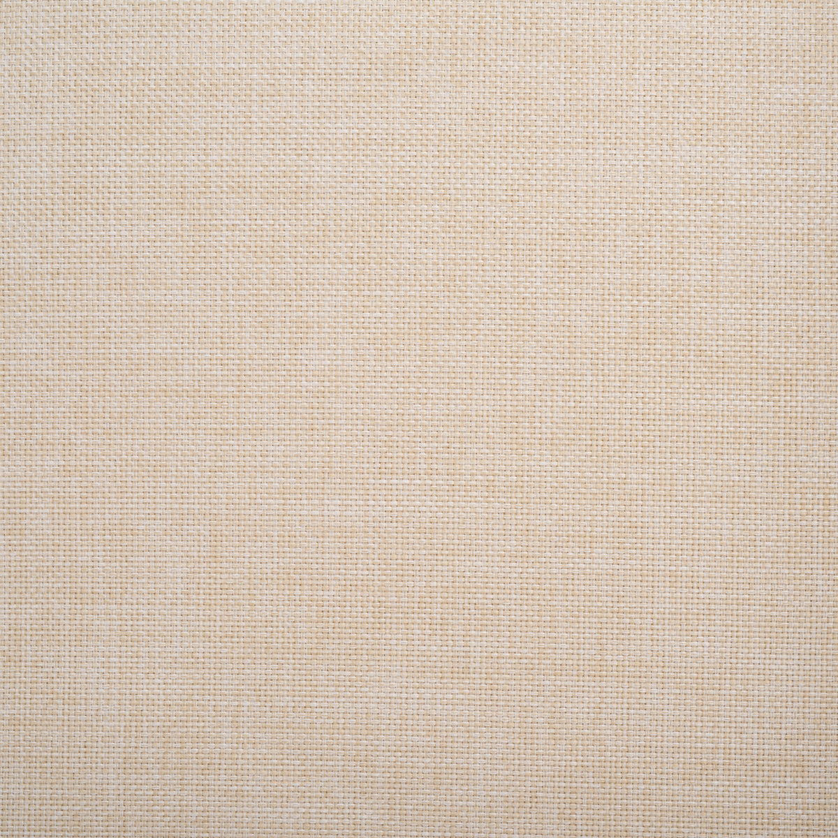 Theo Club Chair in Natural and Taupe — Set of 2
