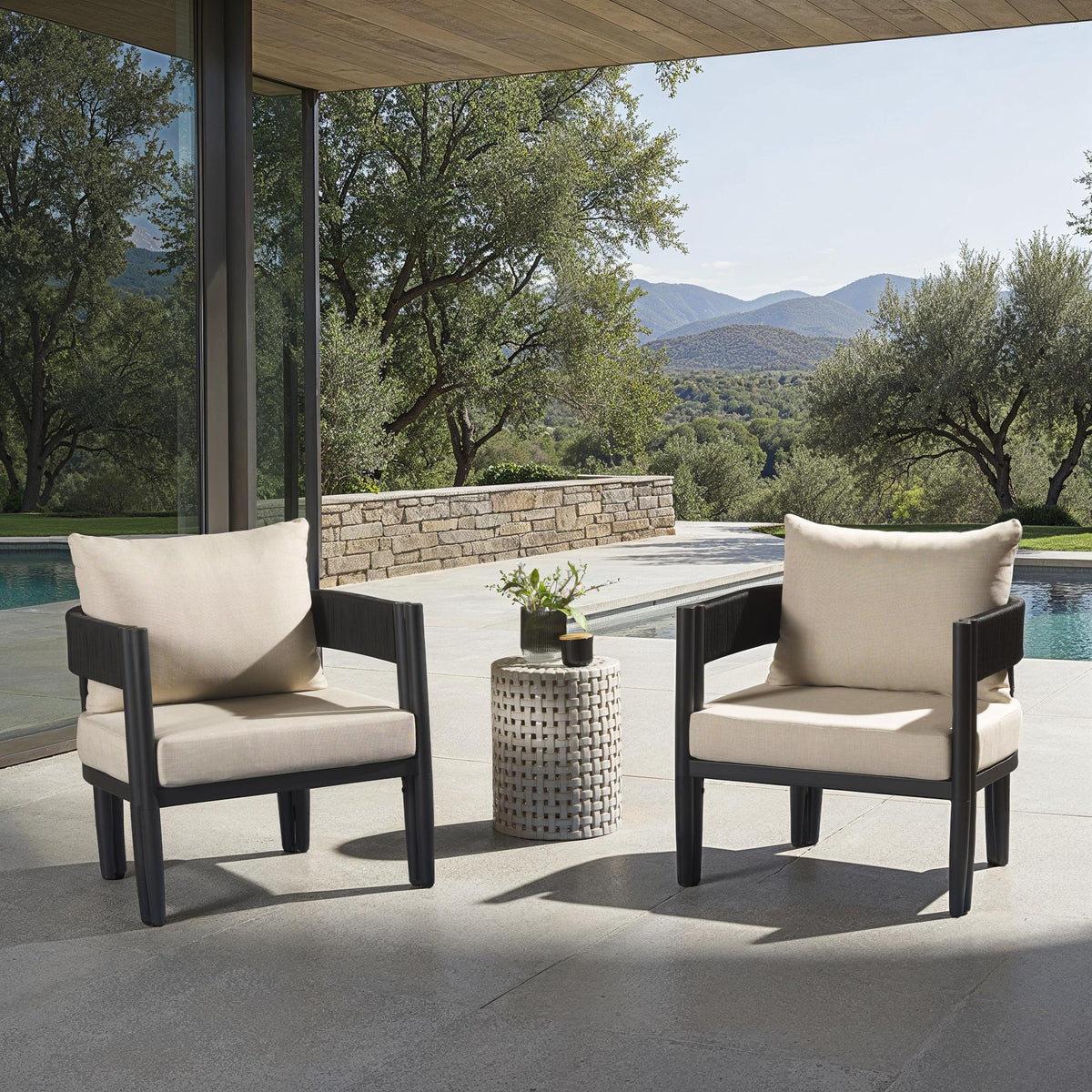 Viola Chair in Black and Taupe — Set of 2