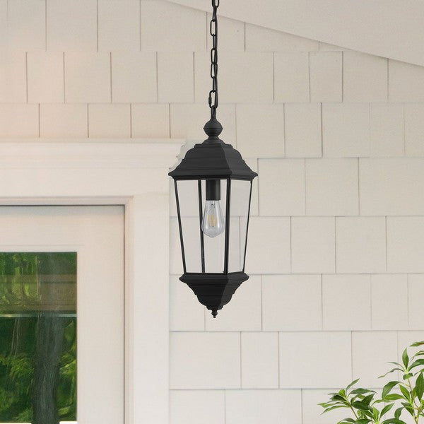 Teri Outdoor Metal Pendant Lighting in Black