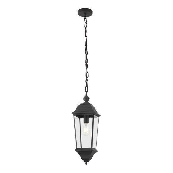 Teri Outdoor Metal Pendant Lighting in Black