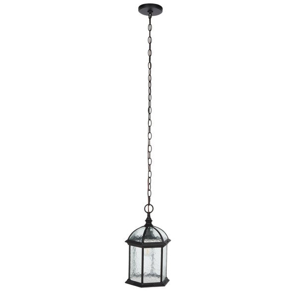 Falyn Outdoor Pendant Lighting in Black