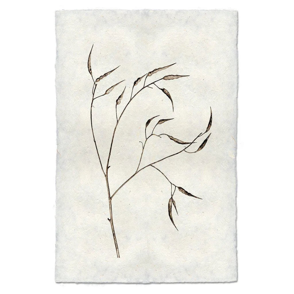 Pepper Form - The Mayfair Hall