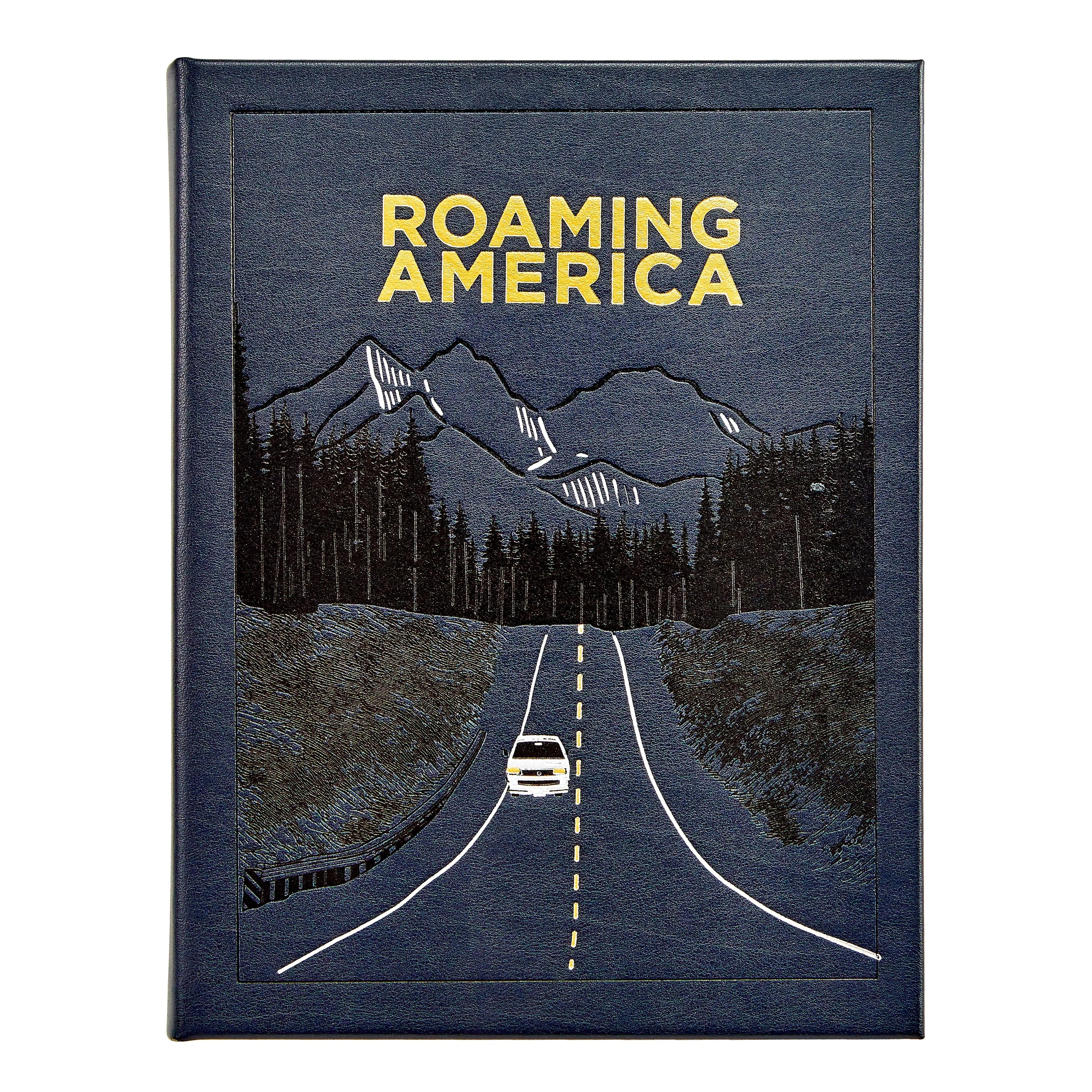 Graphic Image Roaming America