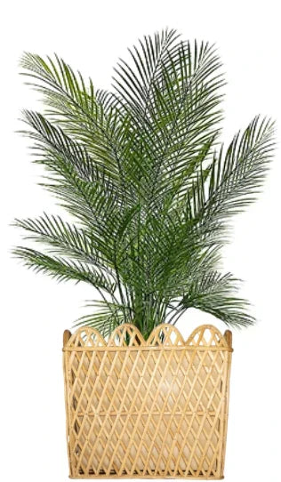 Square Rattan Scalloped Planter