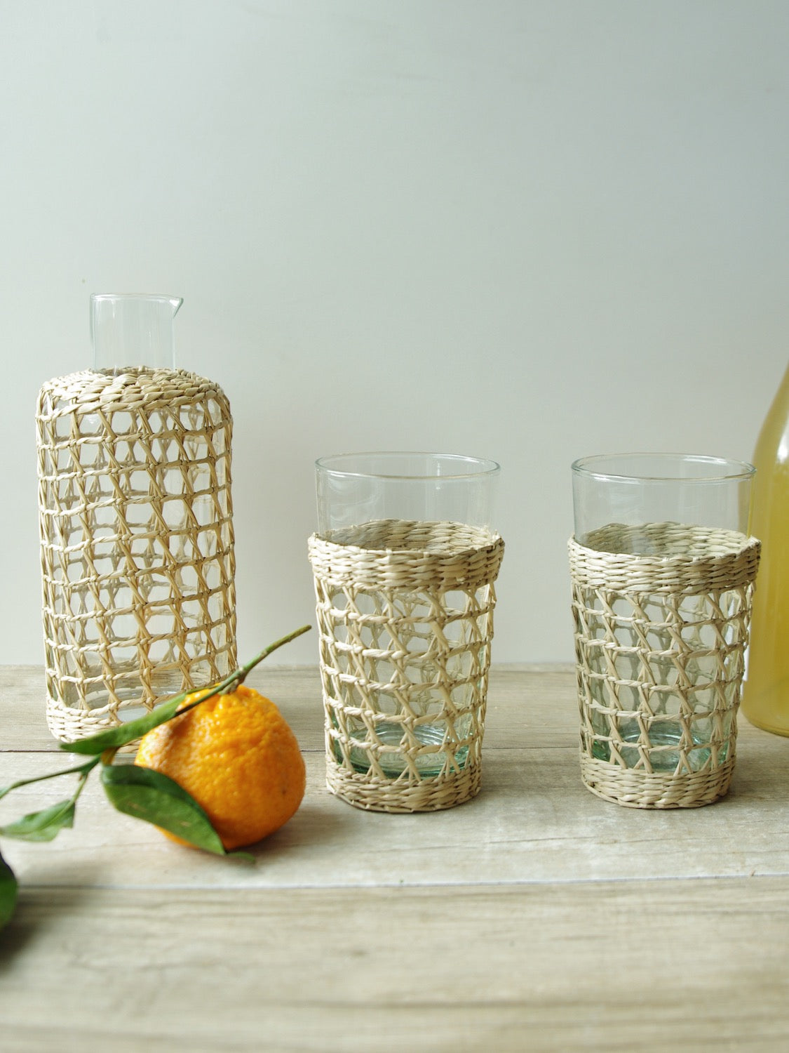 Seagrass Large Cage Carafe