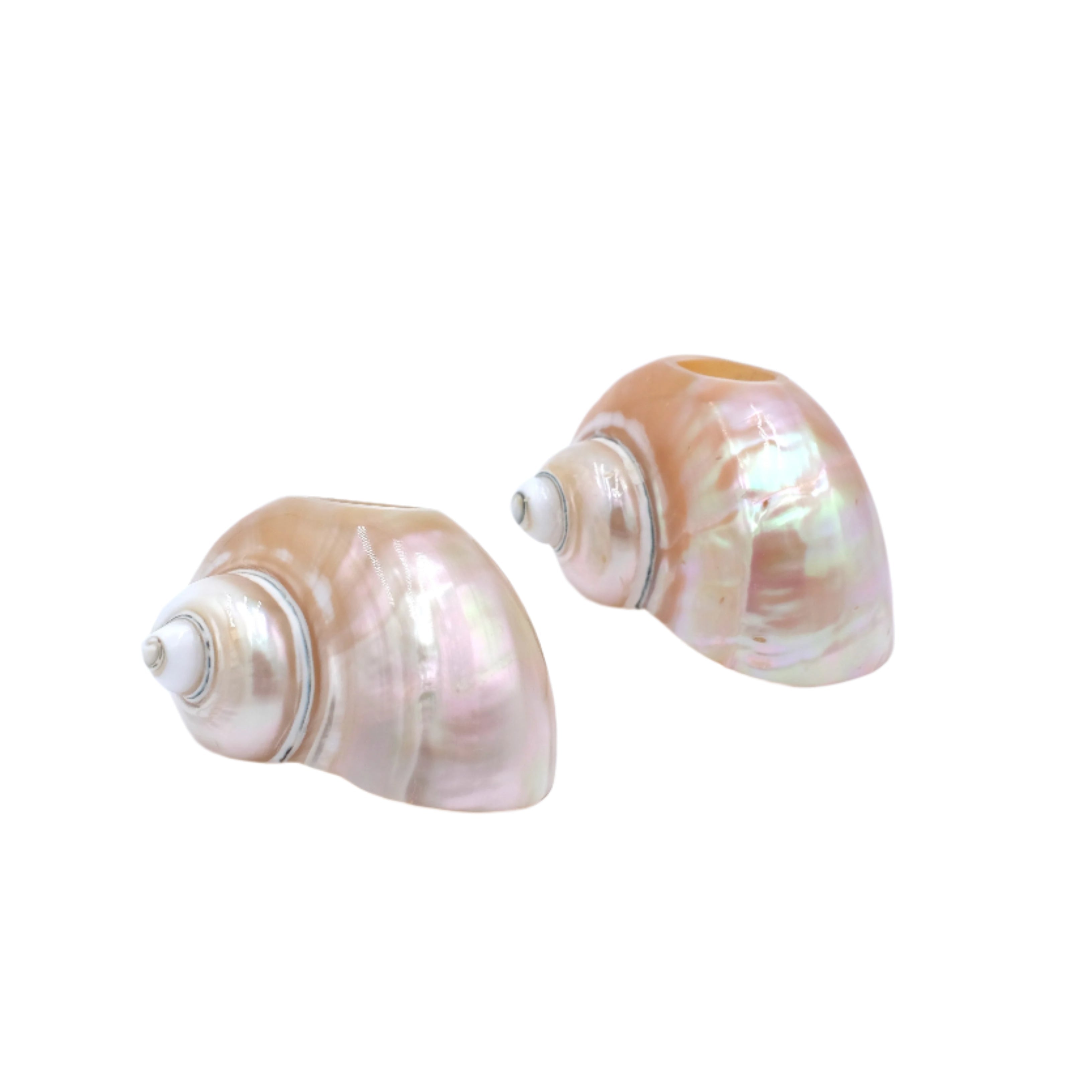 Seashell Napkin Rings, Set of 4