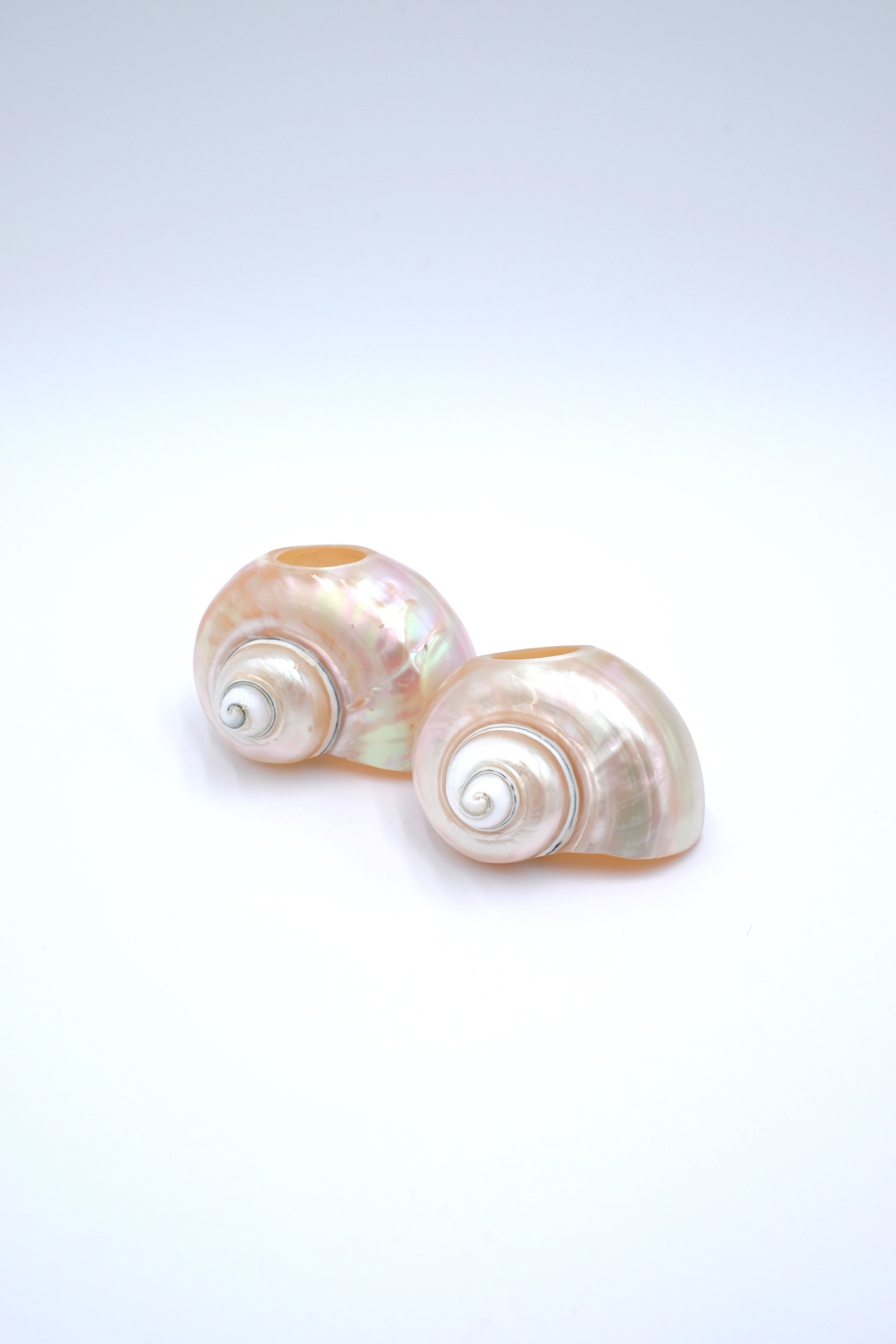 Seashell Napkin Rings, Set of 4