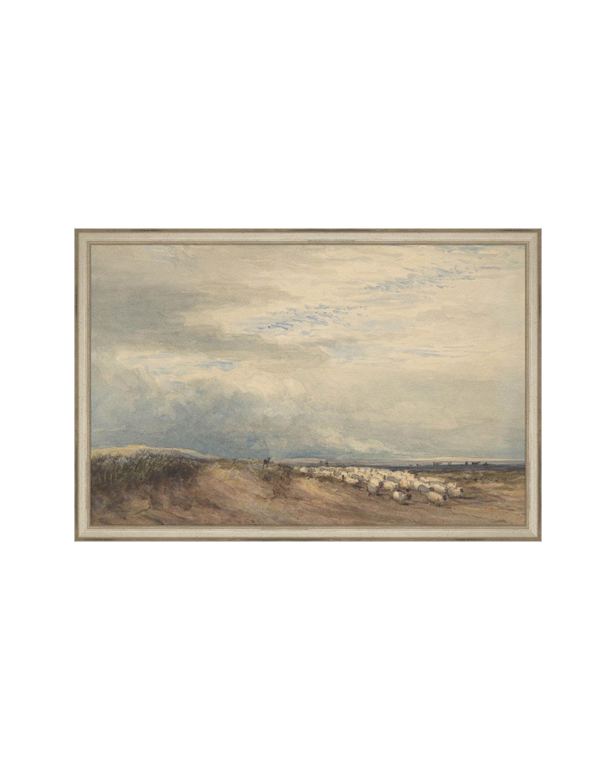 Sheep Field