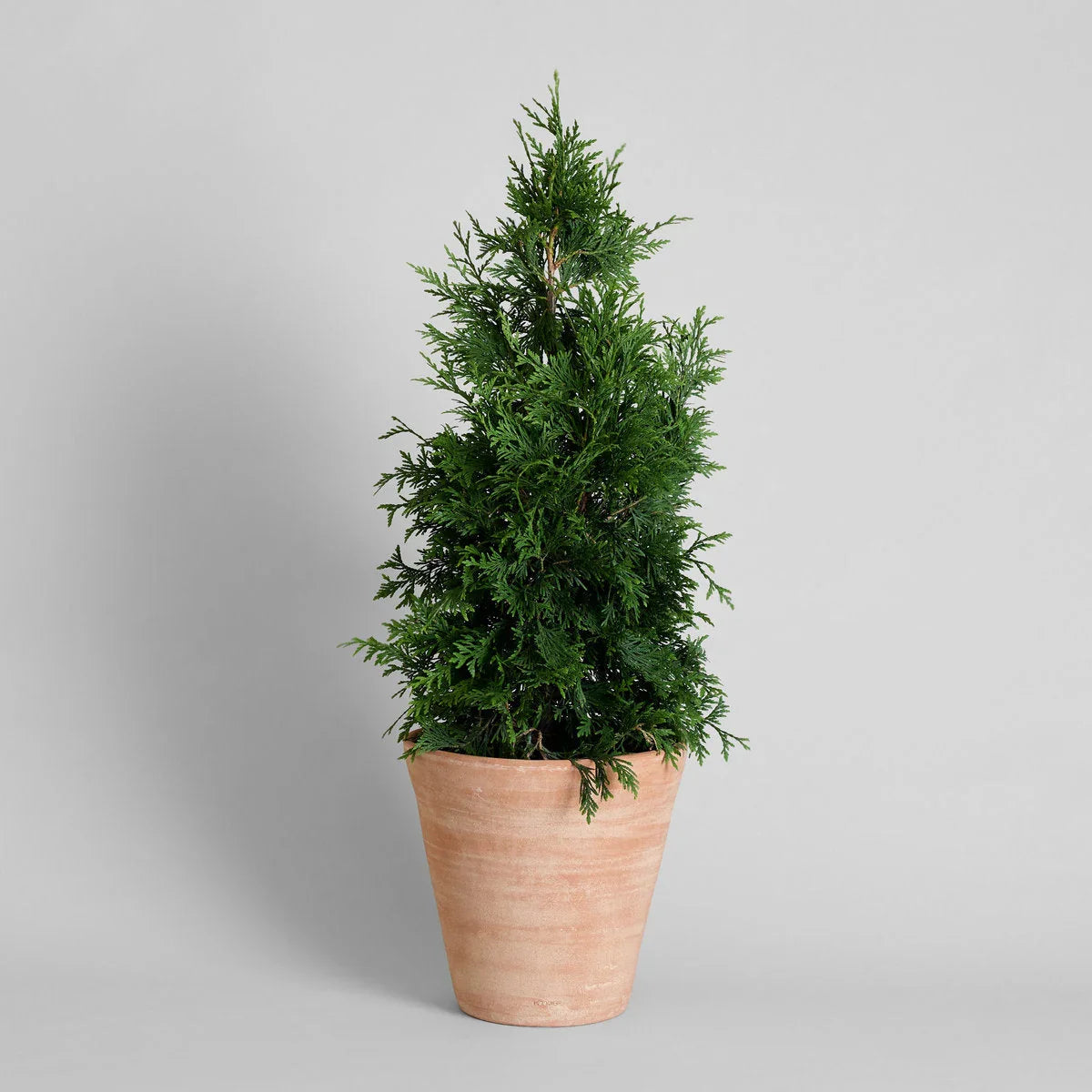 Whitewash Terracotta Studio Planter - The Mayfair Hall