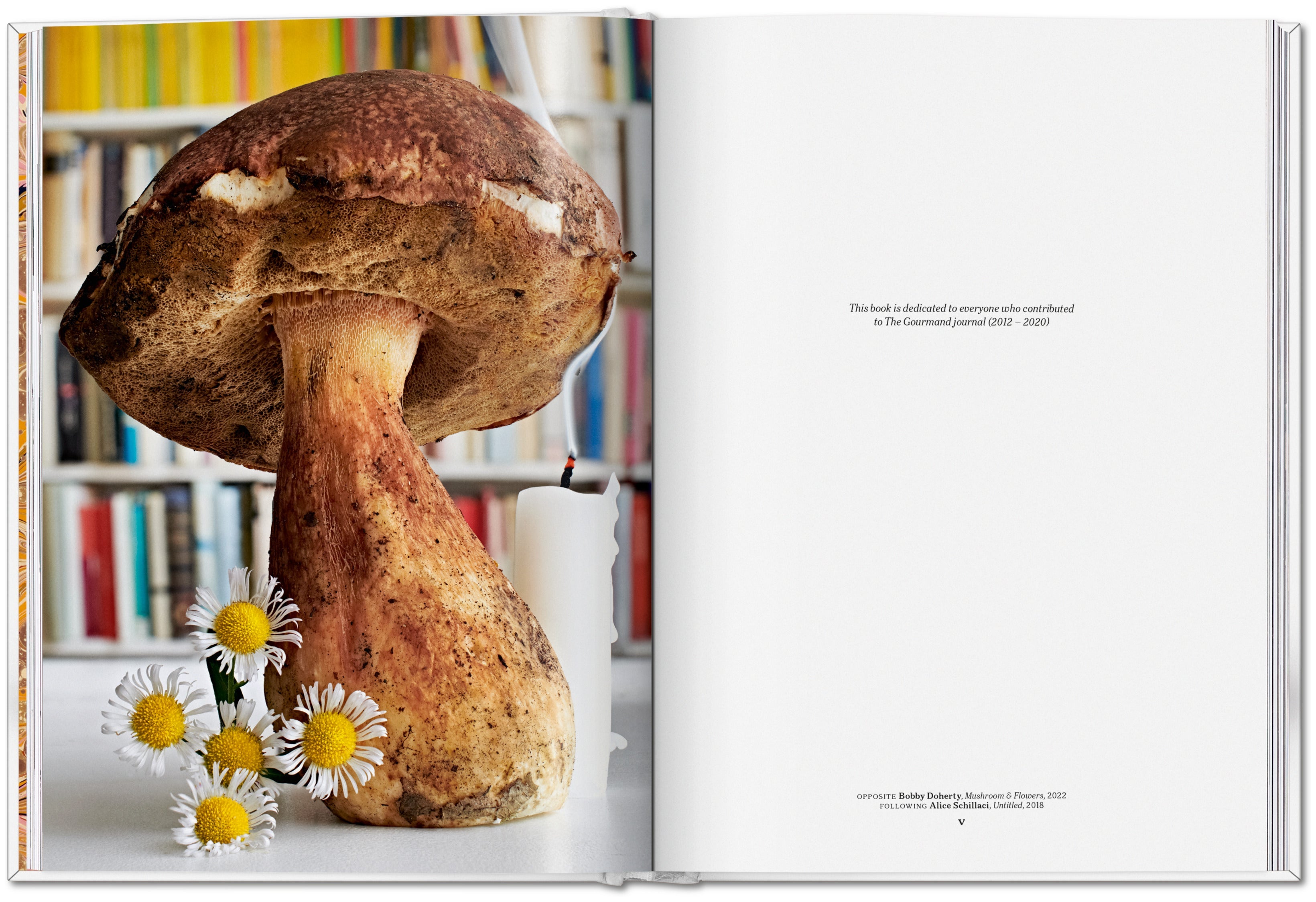 The Gourmand's Mushroom. A Collection of Stories and Recipes (English)