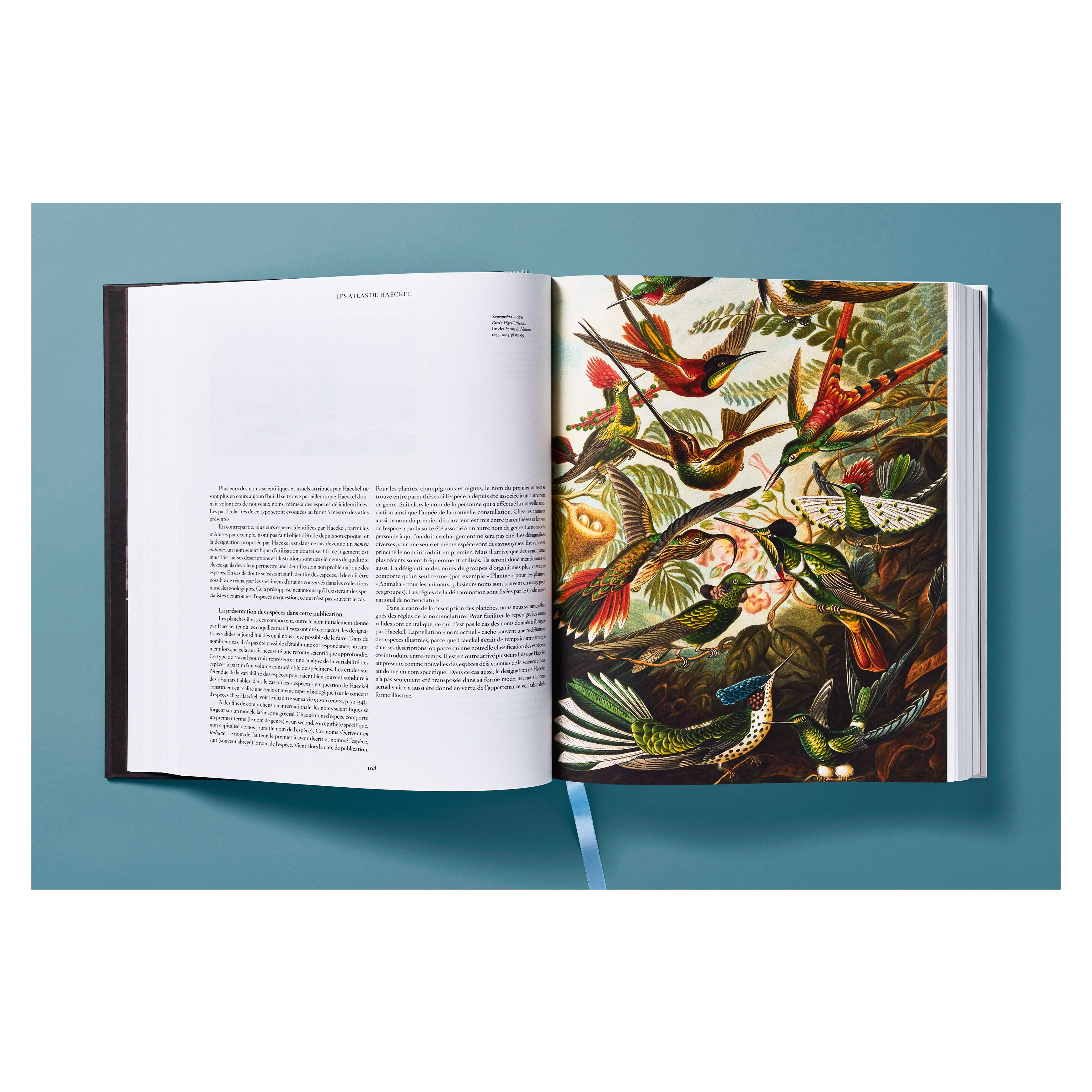 The Art and Science of Ernst Haeckel (German, French, English)