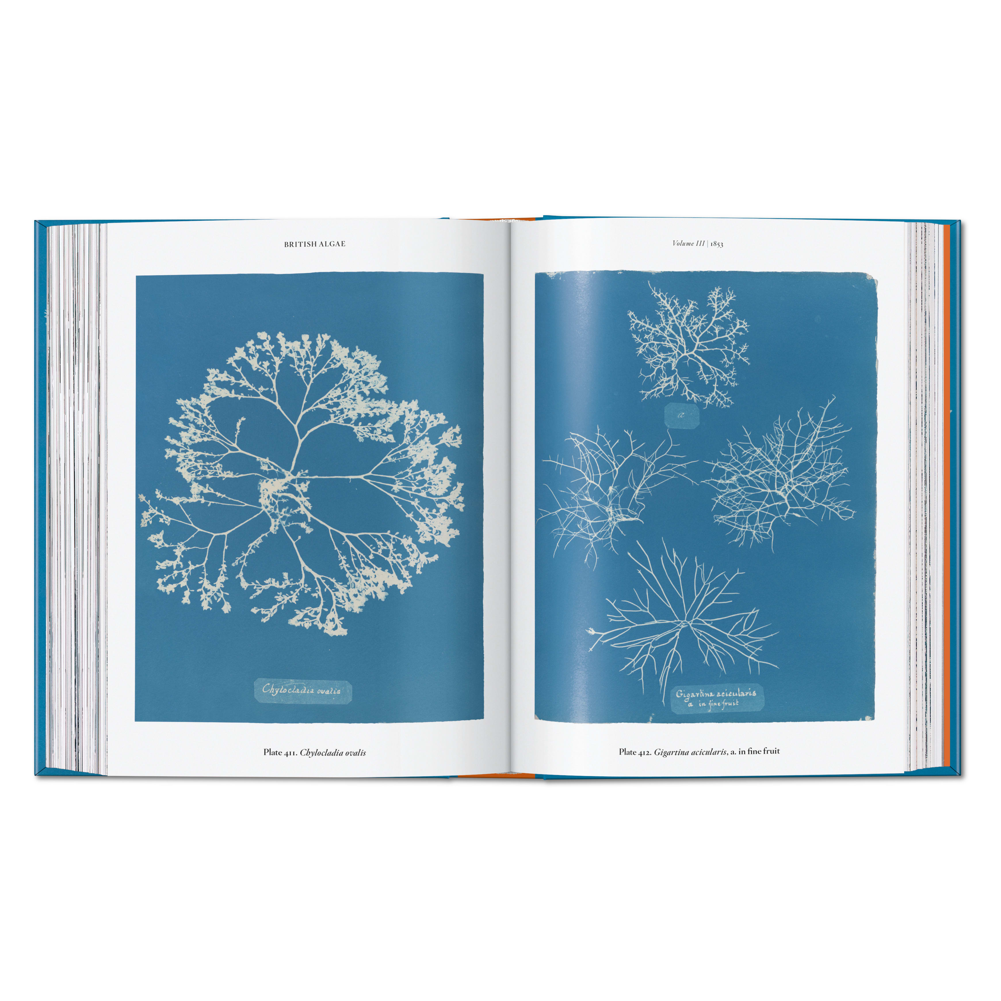 Anna Atkins. Cyanotypes. 45th Ed. (German, French, English)