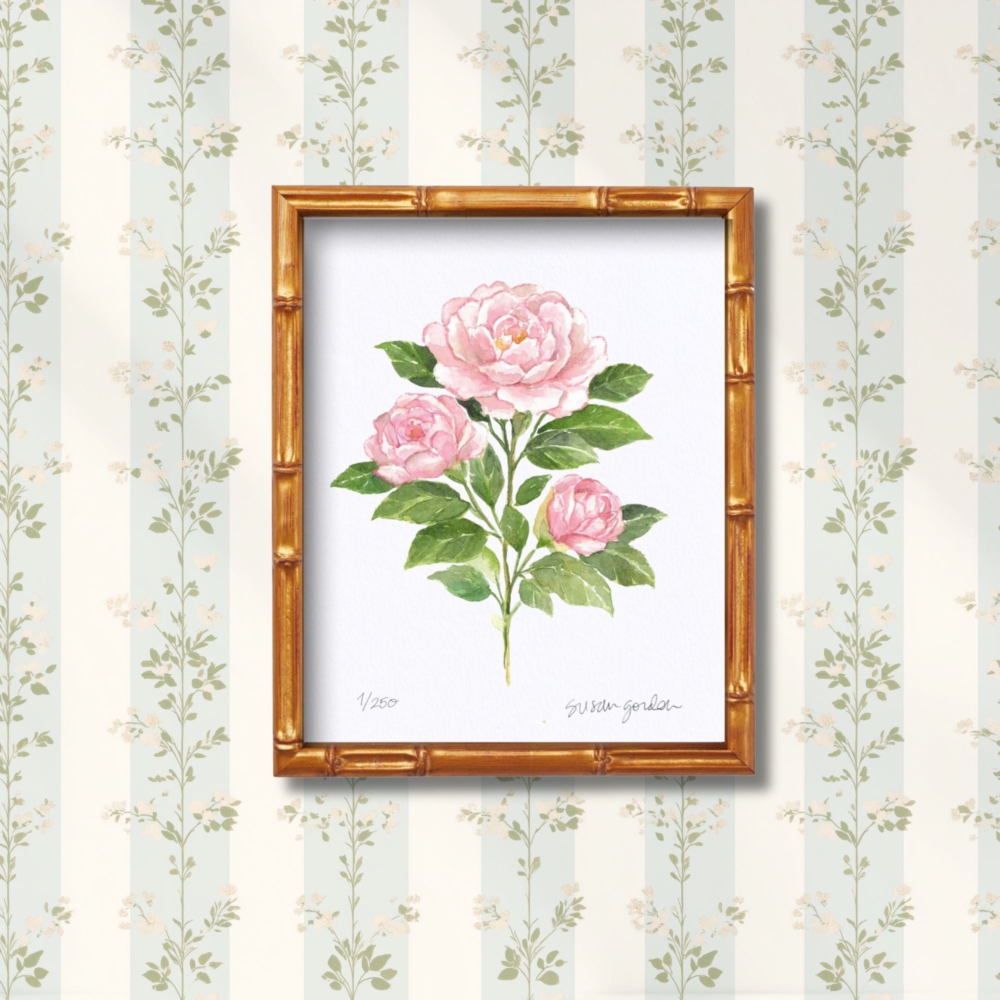 8x10 Camellia Prints By Susan Gordon