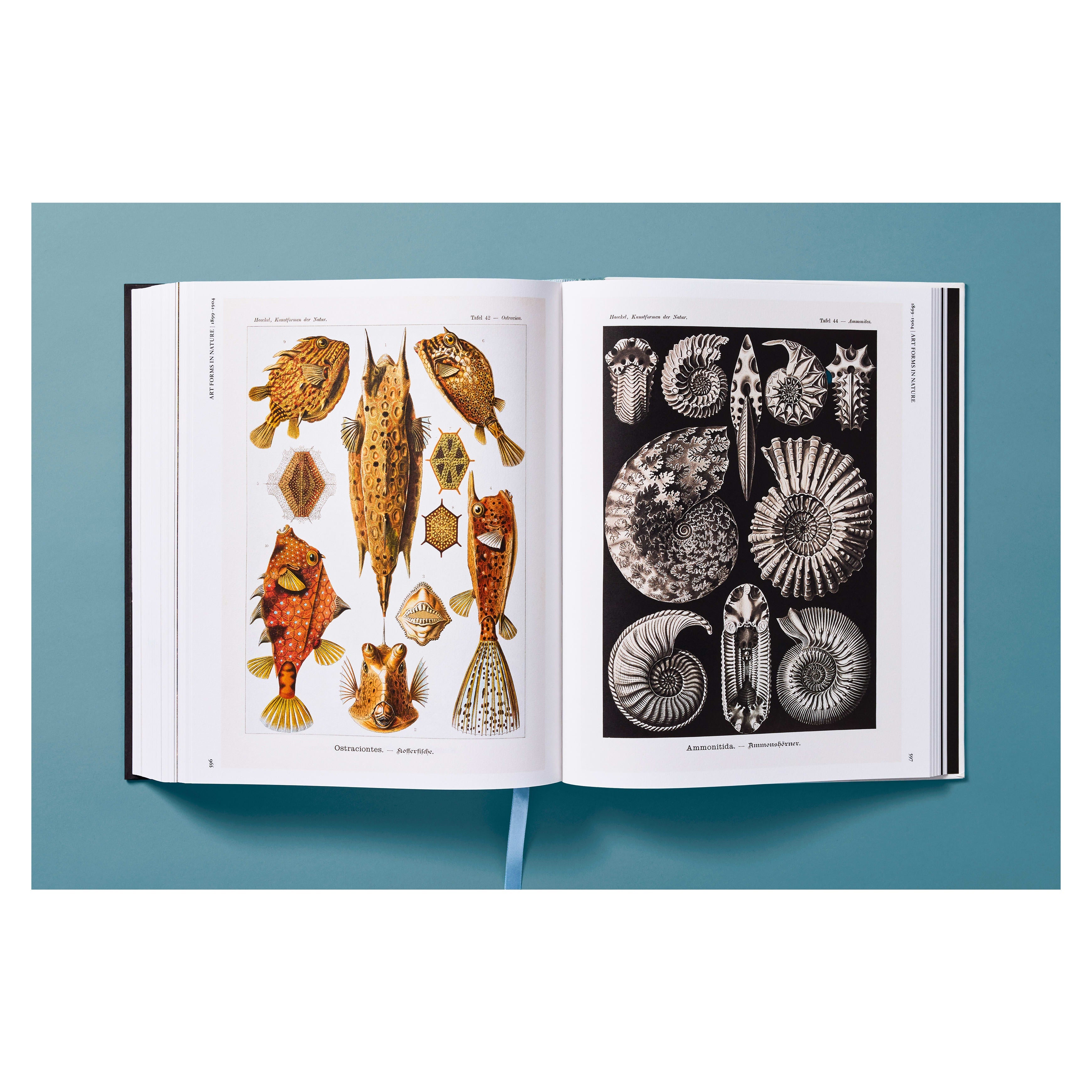 The Art and Science of Ernst Haeckel (German, French, English)