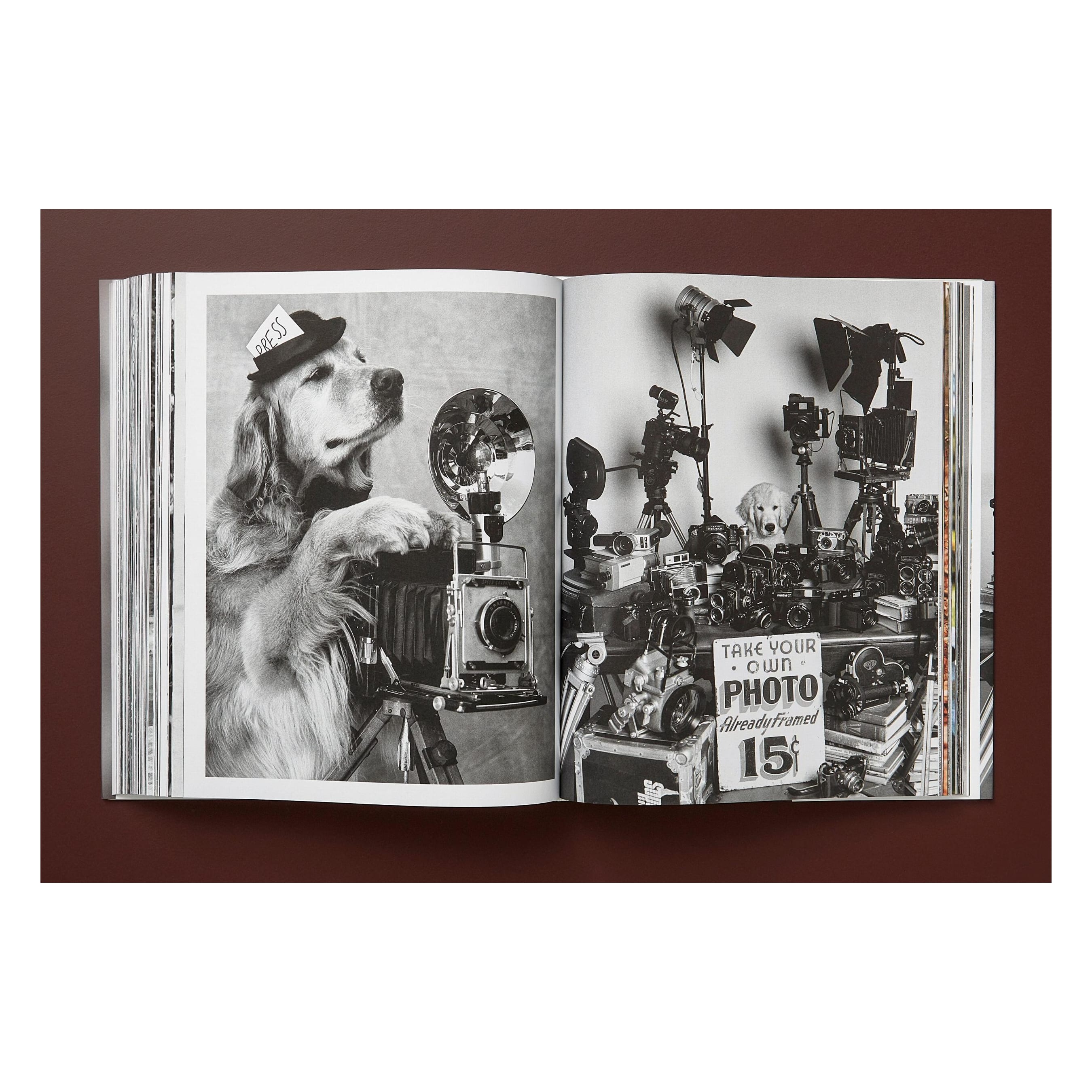 Bruce Weber. The Golden Retriever Photographic Society (German, French, English)