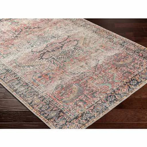Dunsha Distressed Washable Area Rug - Clearance