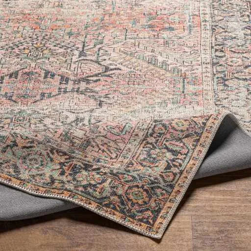 Dunsha Distressed Washable Area Rug - Clearance