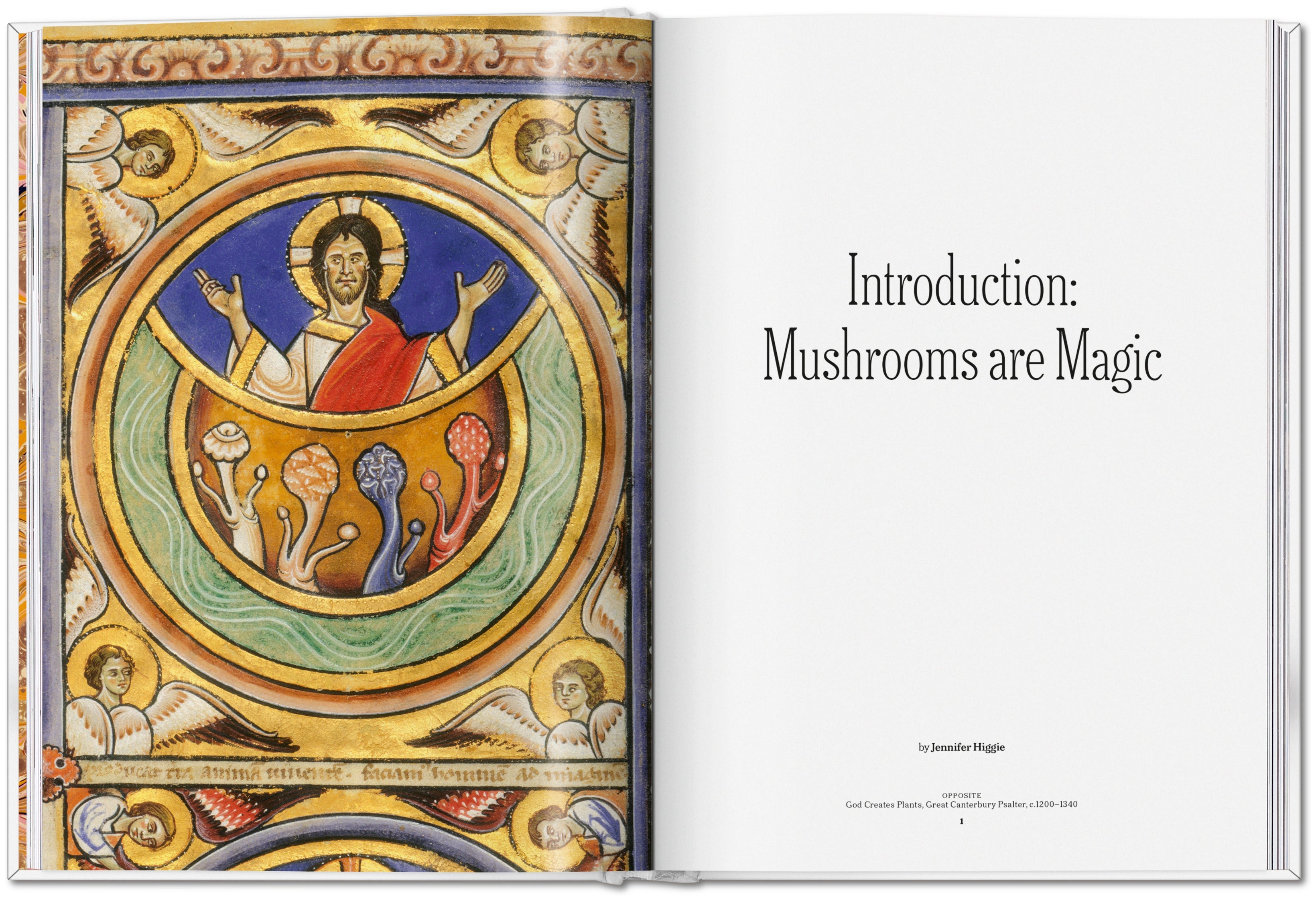 The Gourmand's Mushroom. A Collection of Stories and Recipes (English)