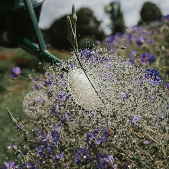Haws Cradley Deluxe - Watering Can - The Mayfair Hall