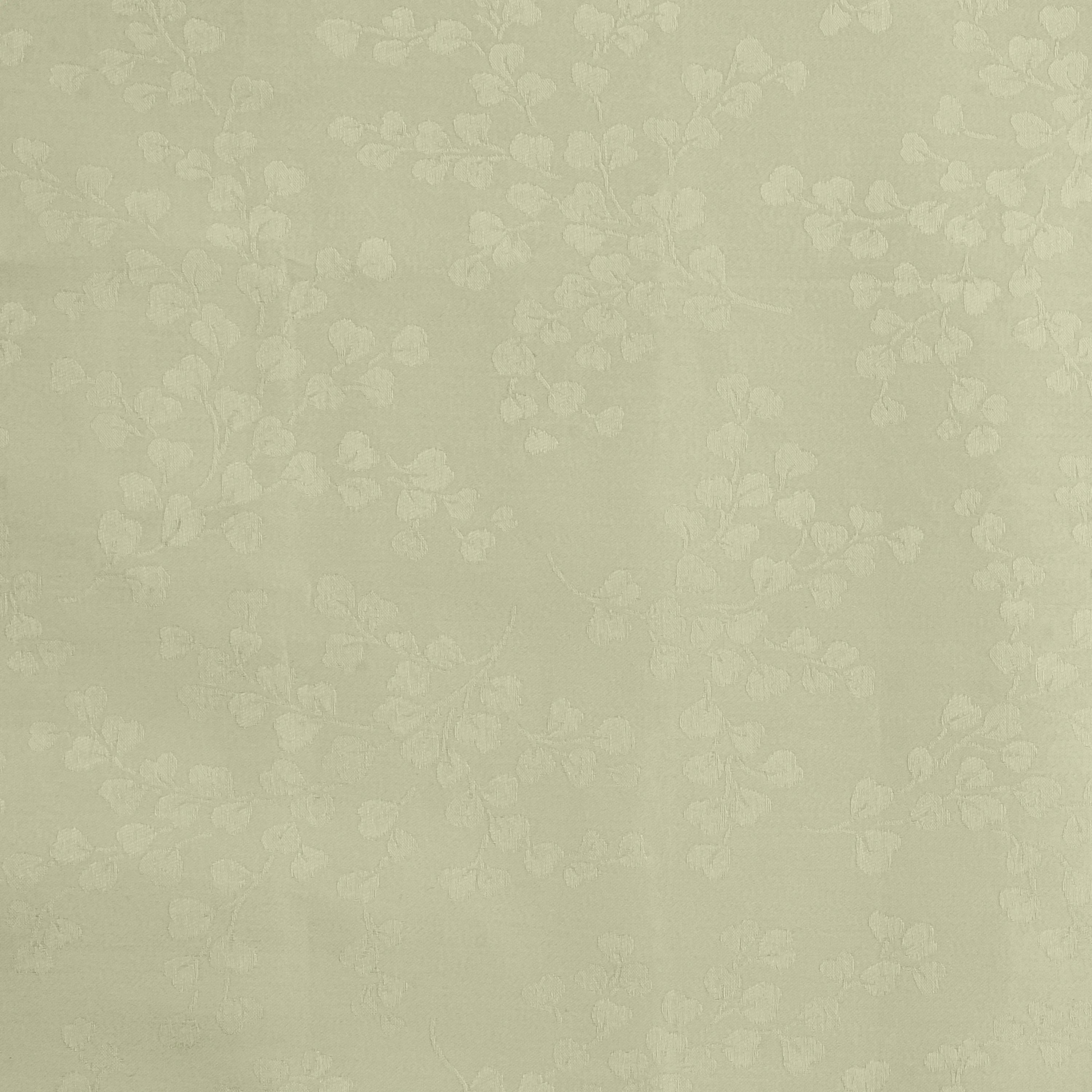 Ivy Swatch - The Mayfair Hall