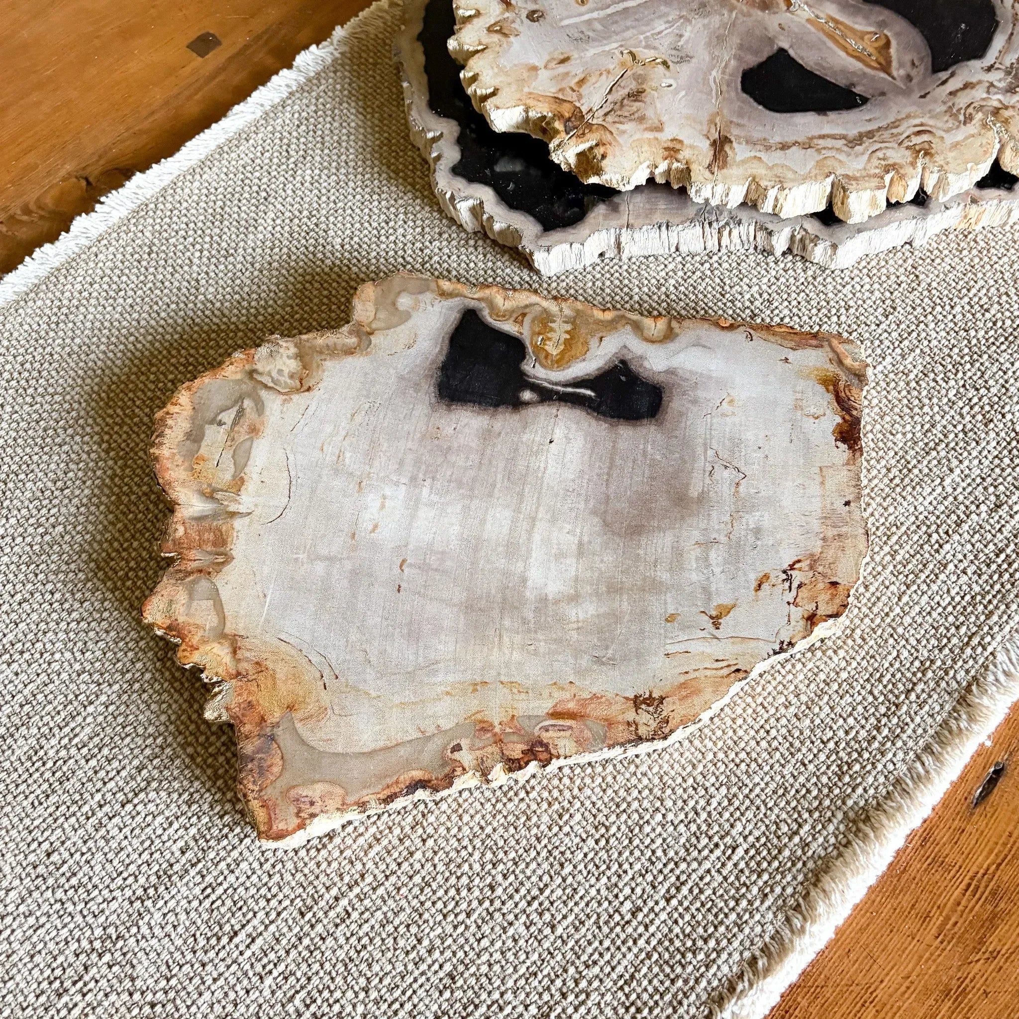 Natural Edge Petrified Wood Serving Board - The Mayfair Hall