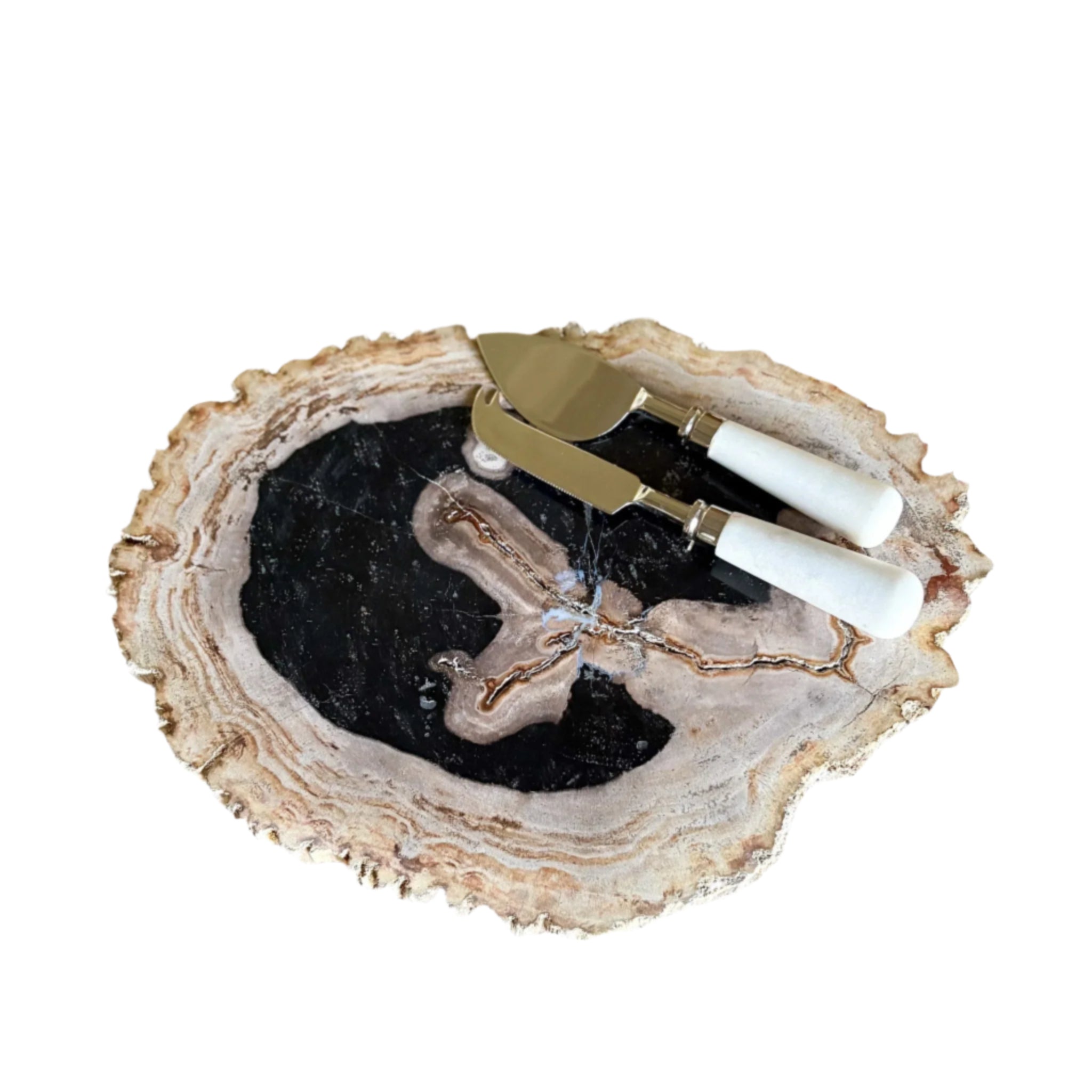 Natural Edge Petrified Wood Serving Board