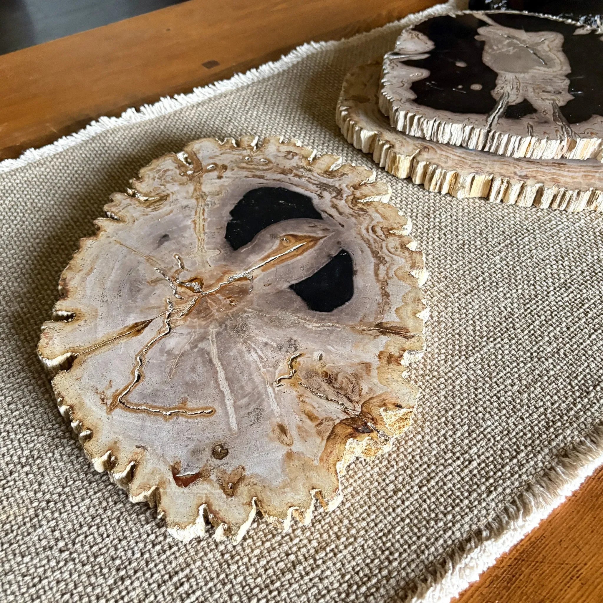 Natural Edge Petrified Wood Serving Board - The Mayfair Hall