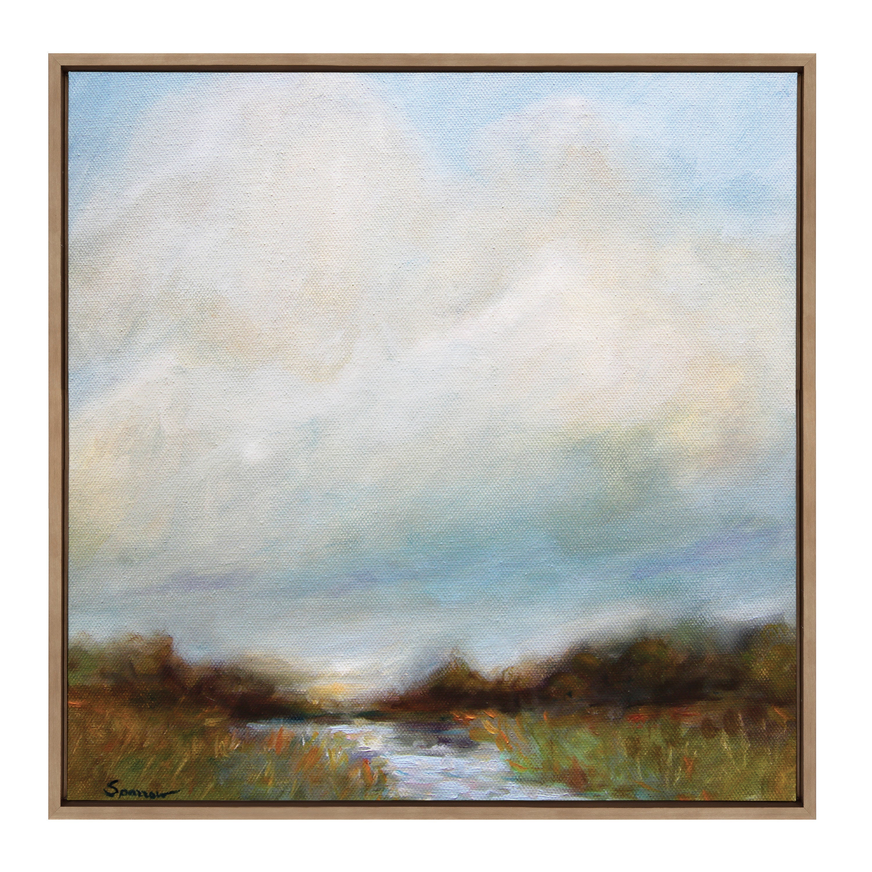Sylvie Tranquility Framed Canvas by Mary Sparrow