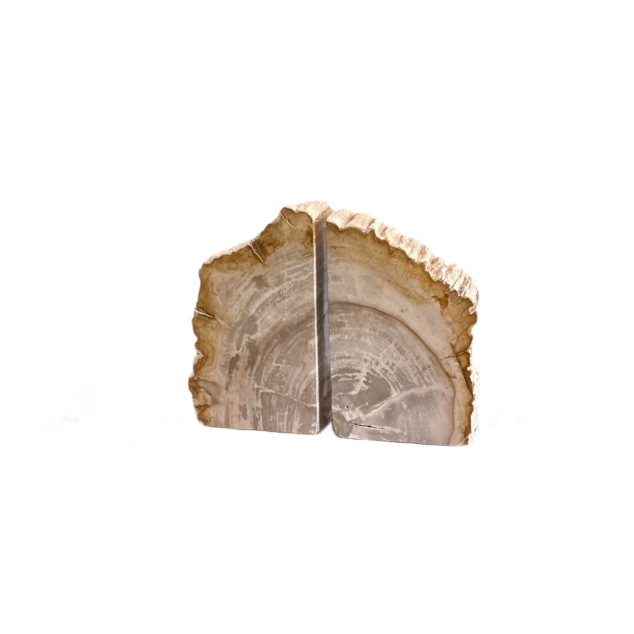 Petrified Wood Bookend Pair