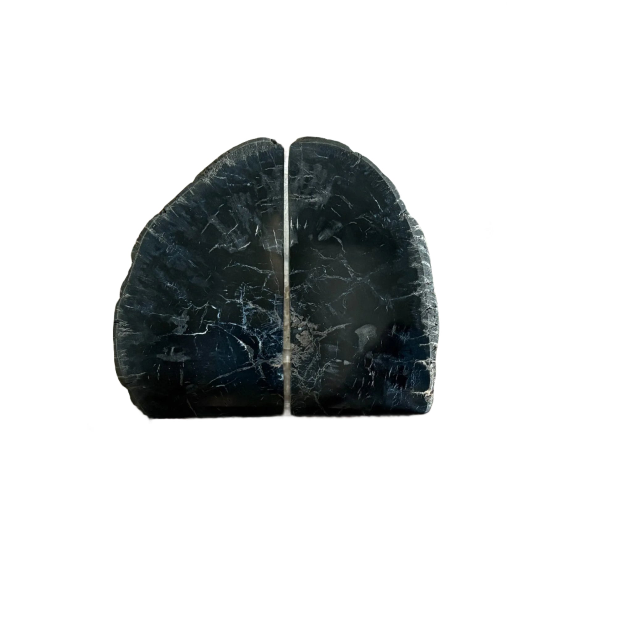 Petrified Wood Bookend Pair