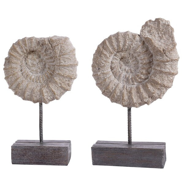 Toren White Ammonite Shell Table Decor - Set of 2 - The Mayfair Hall