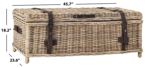 Safavieh Navarro Grey Rattan Coffee Table Trunk