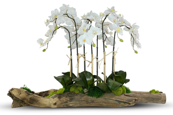Log Filled w/ White Orchids - The Mayfair Hall