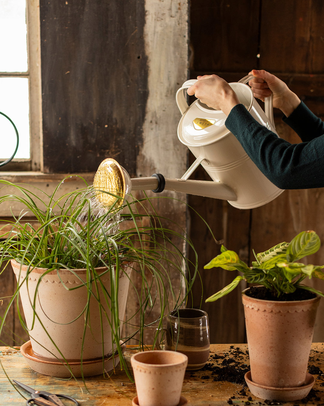 Farmer's Enameled Watering Can