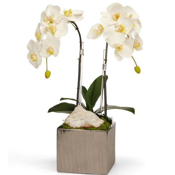 Double White Orchid in Silver Square - The Mayfair Hall
