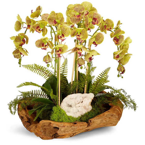 Green Orchid and Geode in Wood Bowl - The Mayfair Hall